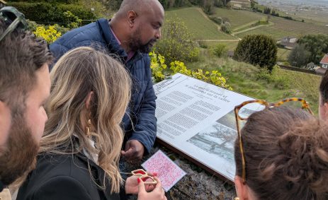 Team building Saint-emilion - organisation séminaire