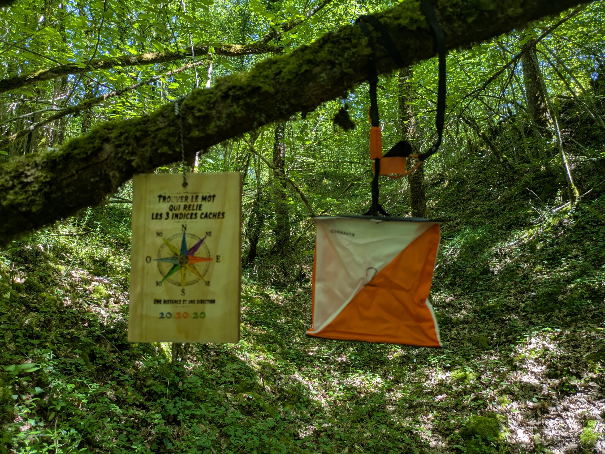 Course d’orientation team building dans le vignoble de Saint-Émilion